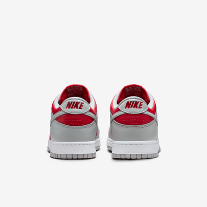 Nike Dunk Low Varsity Red and Silver